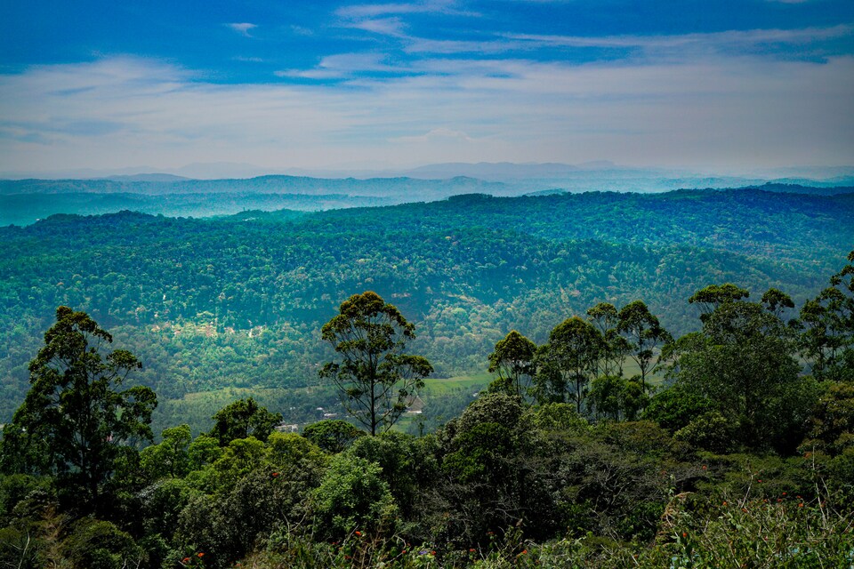 OYO Home 26846 Elegant 2BHK, Chinakkanal Munnar, Munnar