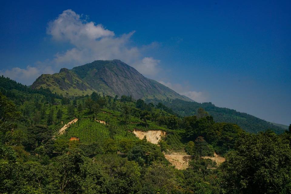 OYO Home 26994 Cosy Stay, Munnar City Munnar, Munnar