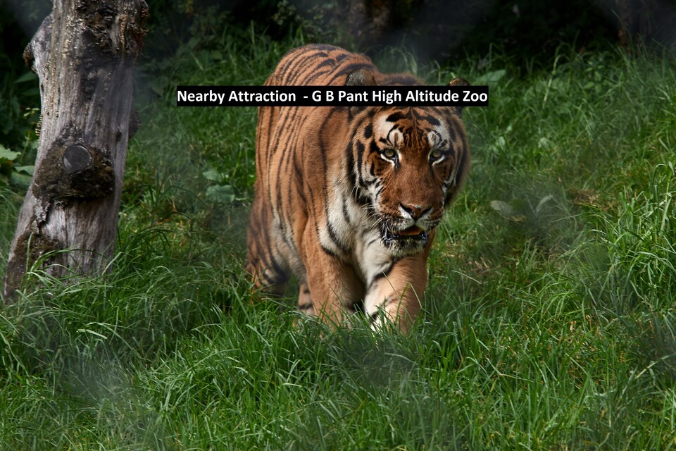 OYO 27049 The Valley View Cottage, Mall Road Nainital, Nainital