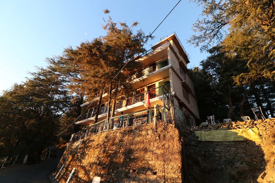 OYO 27699 Cedar Tree, The Mall Road-Shimla, Shimla