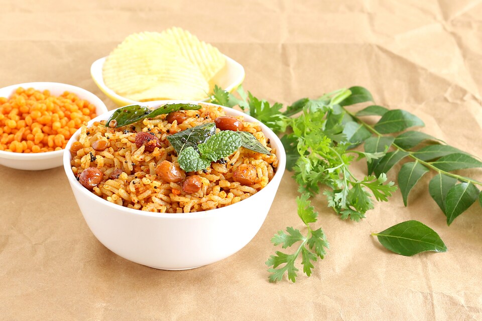 OYO Flagship 28149 Mangal Residency, Fateh Sagar, Udaipur