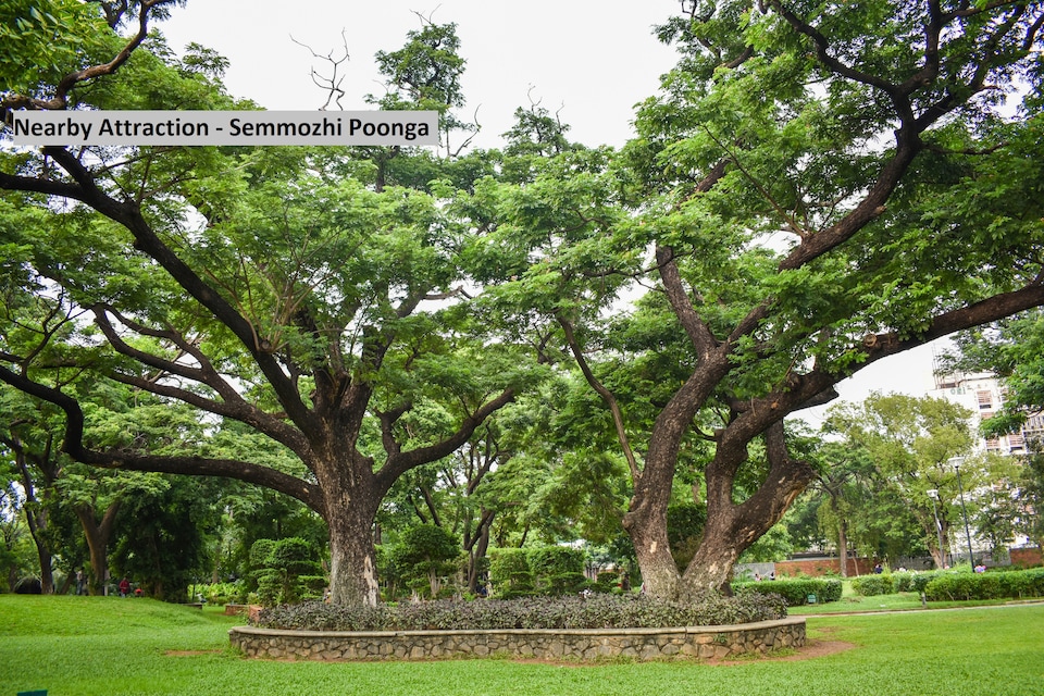 OYO Green Tree Elite Near Ags Cinemas T Nagar, Pondy Bazzar, Chennai