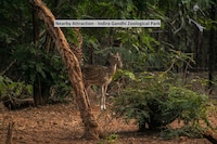 OYO 30568 B Square Inn