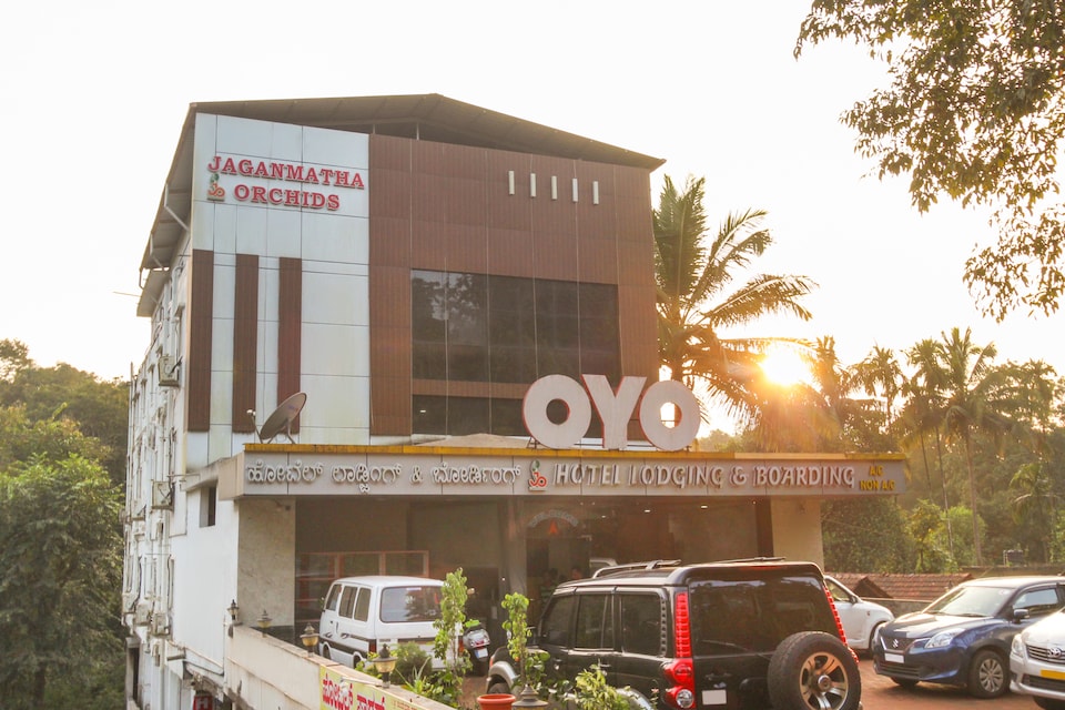 Collection O 30583 Jaganmatha Orchids, Udupi, Udupi-Manipal