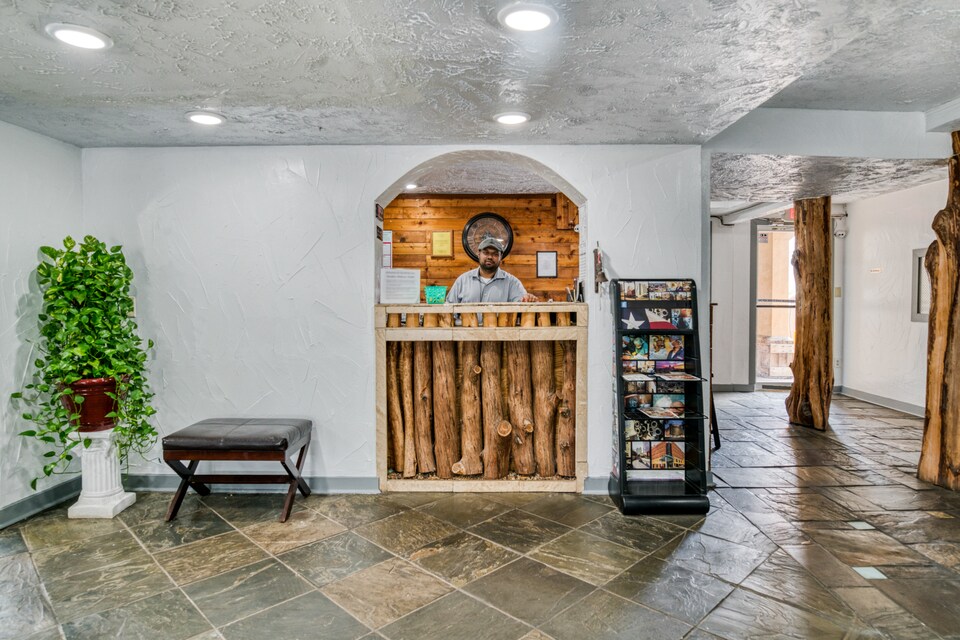 OYO Inn Houston Medical Center, C77025, Houston