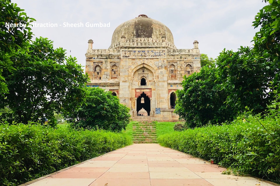Collection O 185 Nauroji Nagar Marg, AIIMS Delhi, Delhi