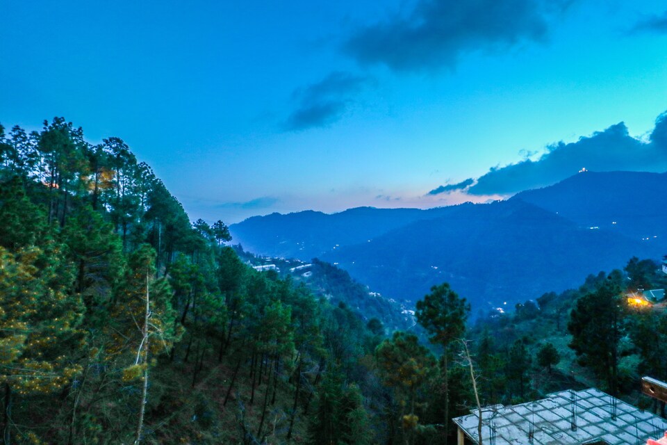 OYO Home 31035 Cosy Stay Beolia, Shoghi, Shimla