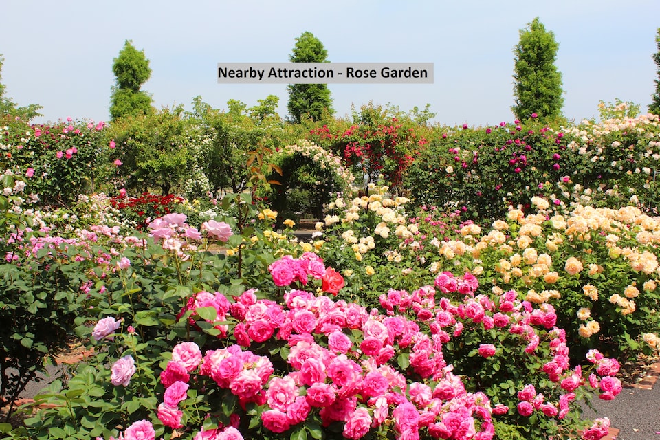 OYO Home 35375 Hill View 2BHK Ooty, Charing Cross Ooty, Ooty