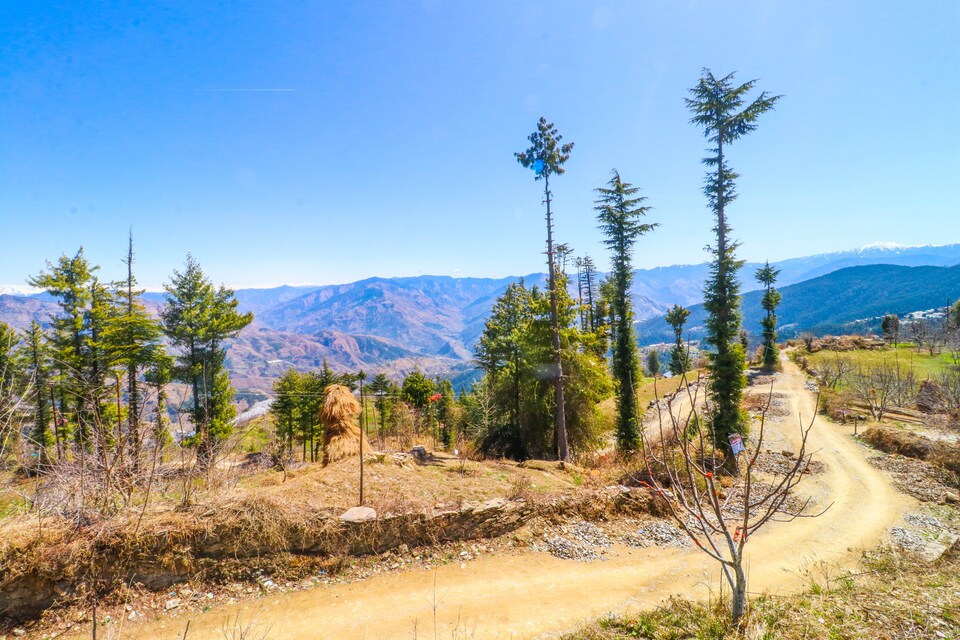 OYO Home 35412 Moon Light Stay Talai, Kufri-Faghu-Theog, Shimla