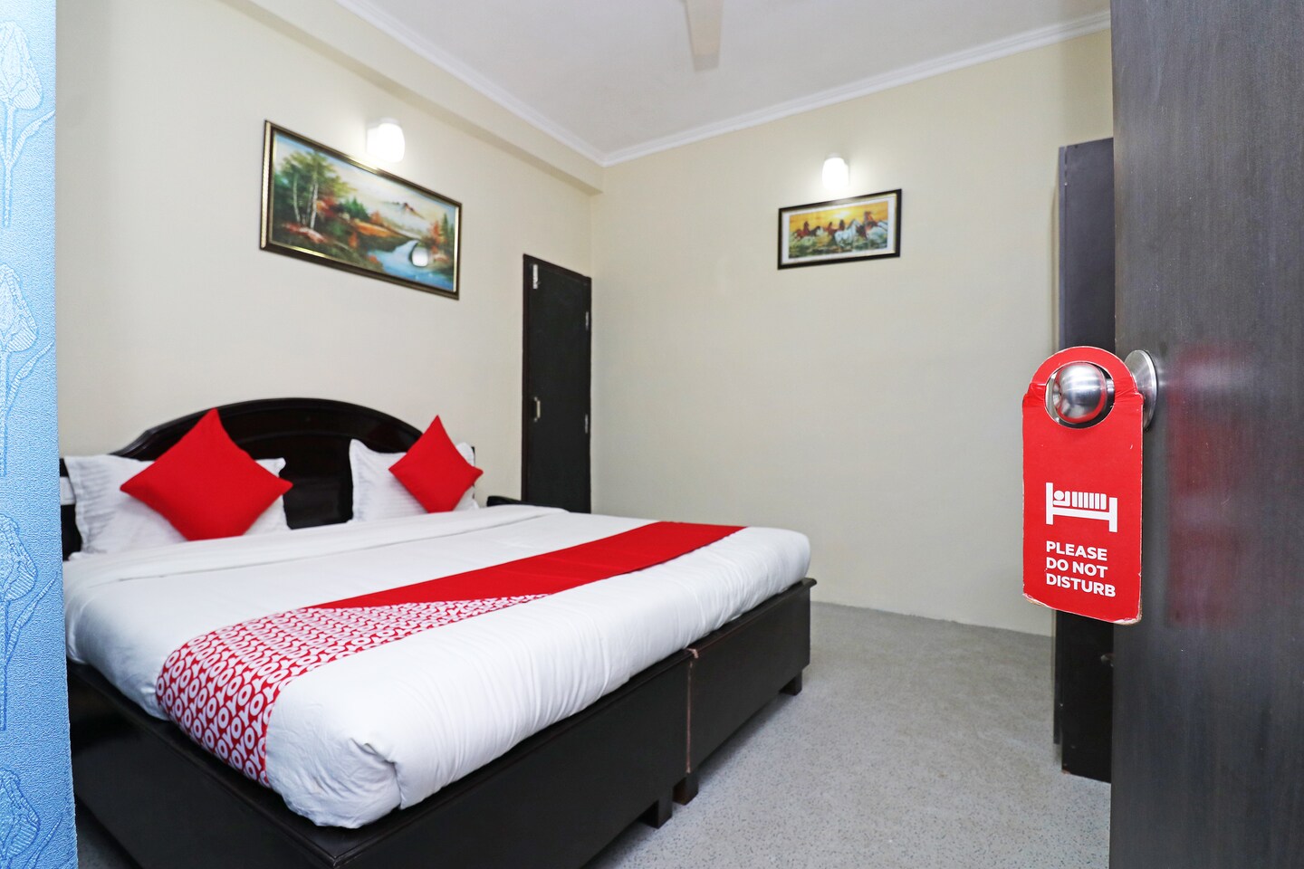 Oyo 35711 Rainbow Continental In New Delhi Book Room Night - 