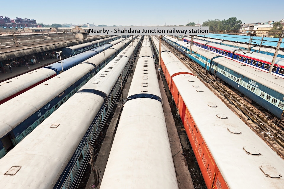 Collection O 226 Golden Petal, Anand Vihar Delhi, Delhi