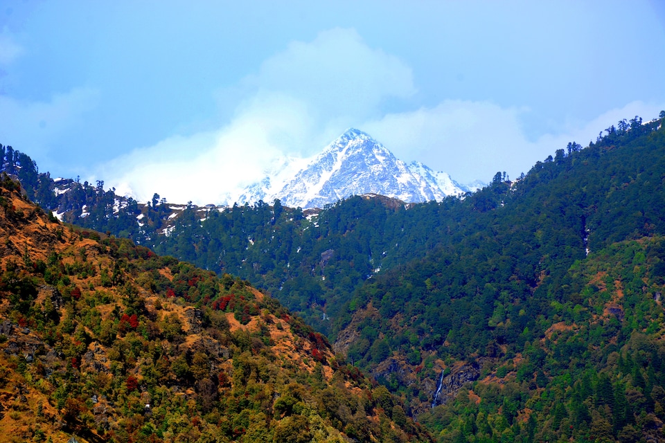 Live on MCD114, McLeod Ganj, Mcleod-Ganj