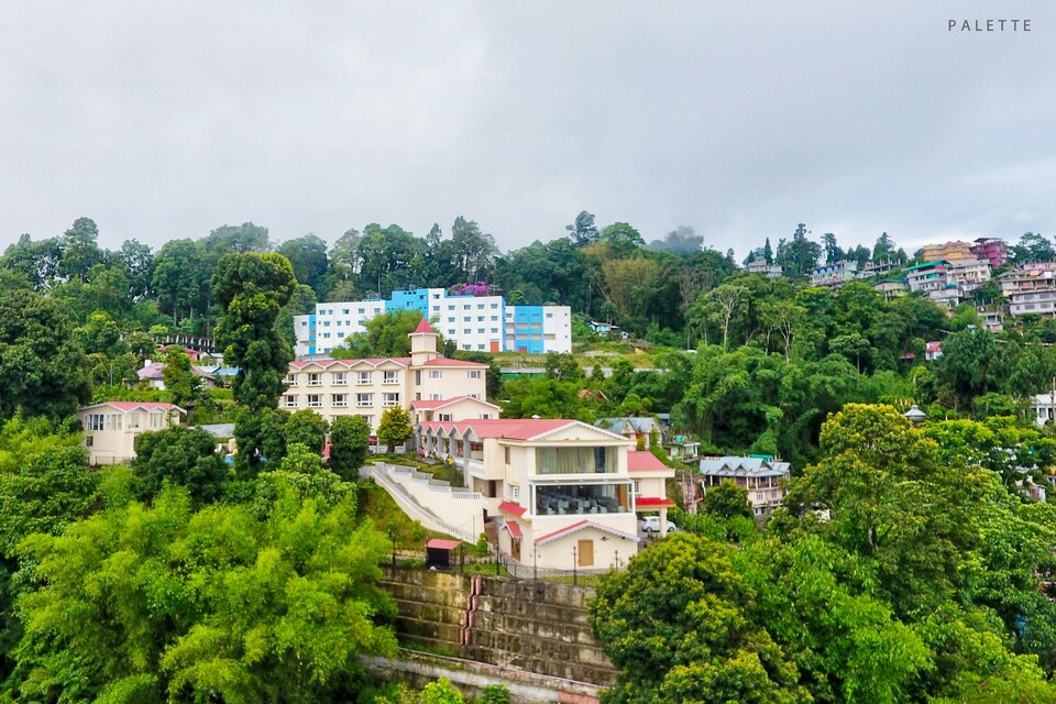 Palette - Pine Tree Spa Resort, Kalimpong, Kalimpong