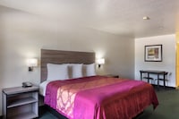 OYO Inn & Suites Medical Center San Antonio