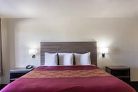 OYO Inn & Suites Medical Center San Antonio