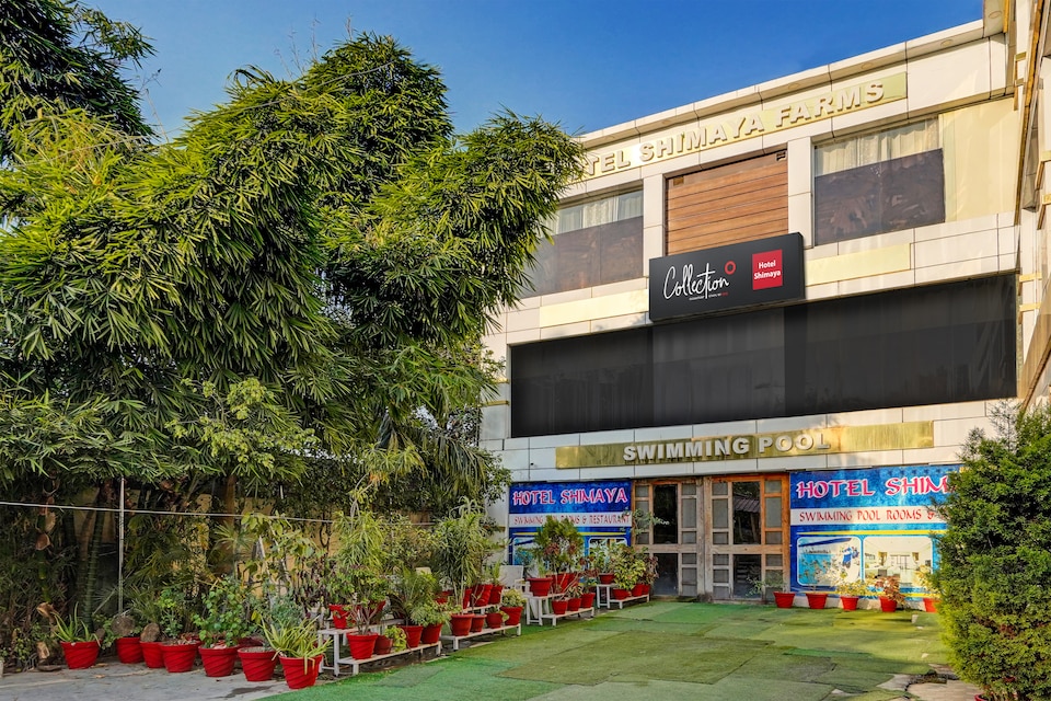 Capital O by OYO Shimaya, Dehradun ISBT, Dehradun