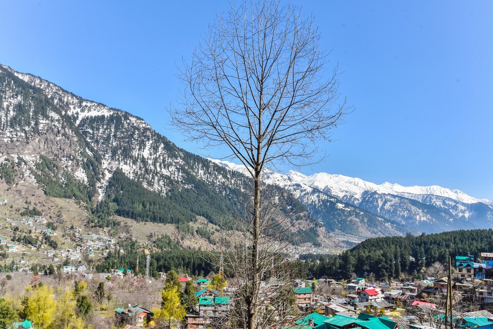 OYO Home 36188 Comfortable Stay, Old Manali Road, Manali