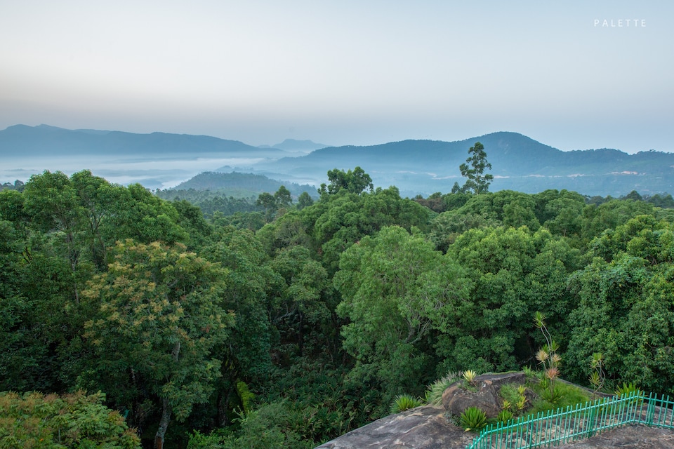 Palette Resorts - Fort Munnar, Chinakkanal Munnar, Munnar