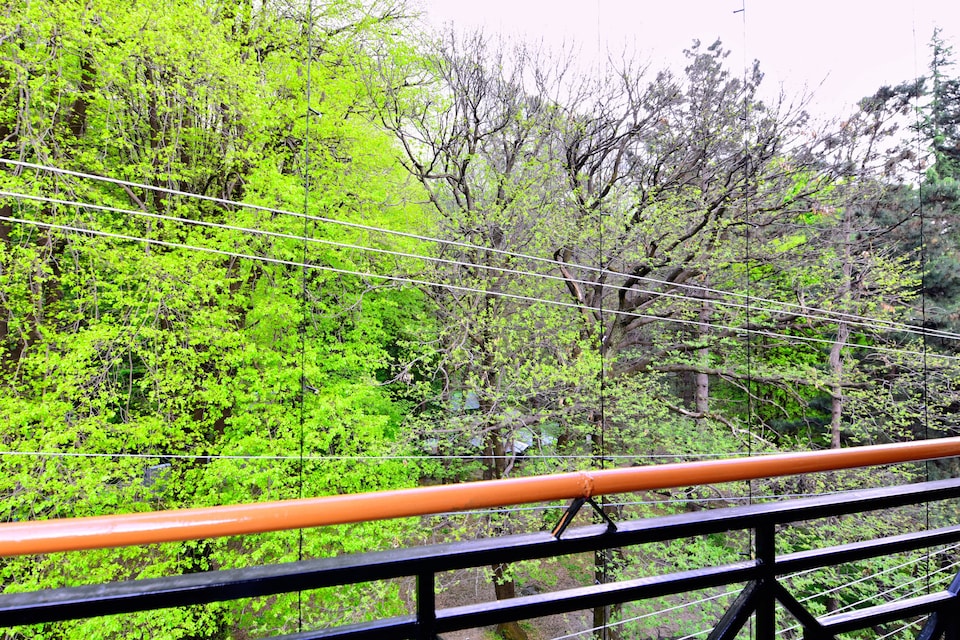 OYO 36492 Hotel Moonlight, Mall Road Manali, Manali