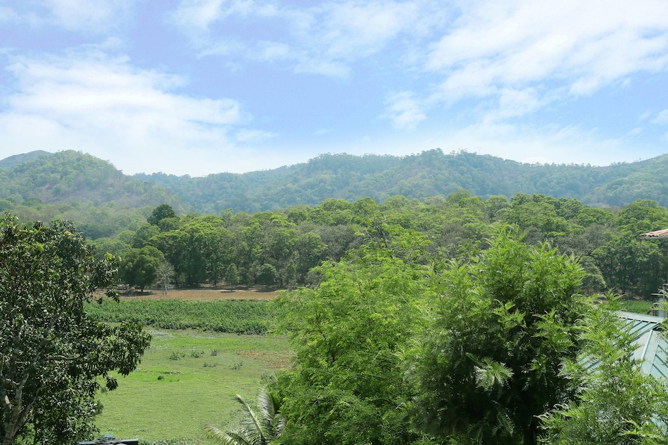OYO 36840 Hill Green, Thekkady, Thekkady