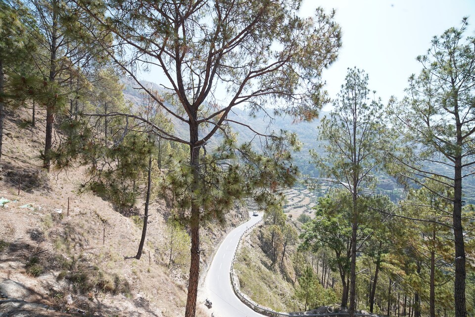 OYO 37228 Durgesh Guest House, Ranikhet, Ranikhet