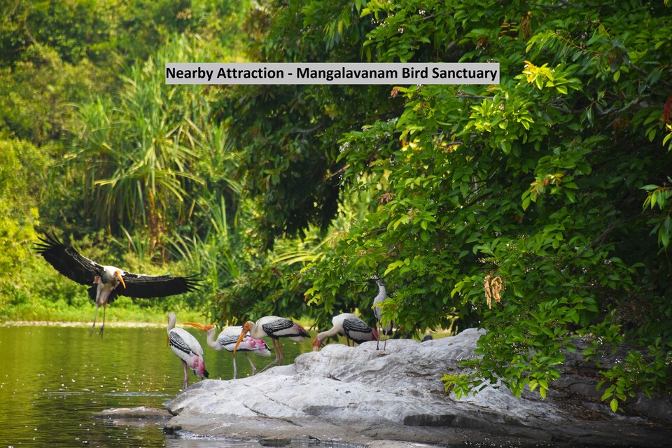OYO 38102 Humming Bird, Railway Station North Kochi-II, Kochi