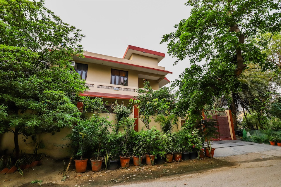 OYO LIFE NOD591 Beta II, Pari Chowk, Greater Noida