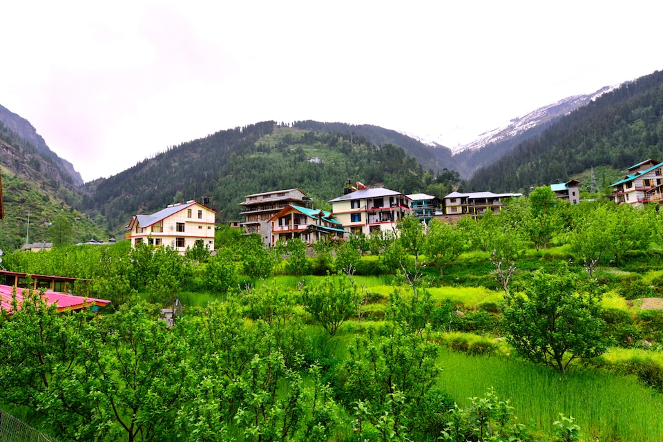 OYO 38759 Tara Cottages, Naggar Road, Manali