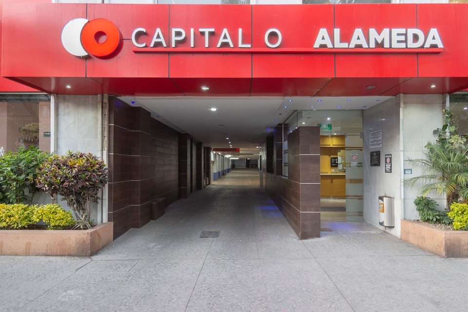 Capital O El Senador, Doctores III, Cuauhtemoc, CDMX, Ciudad de Mexico