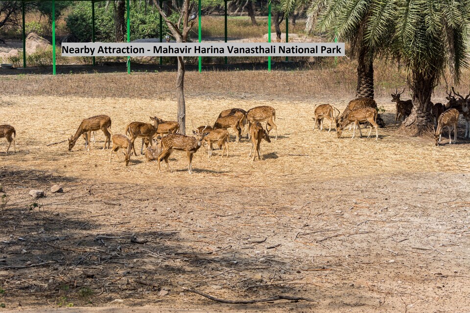 OYO Townhouse 176 Rajdhani Residency, LB Nagar-Ramoji, Hyderabad