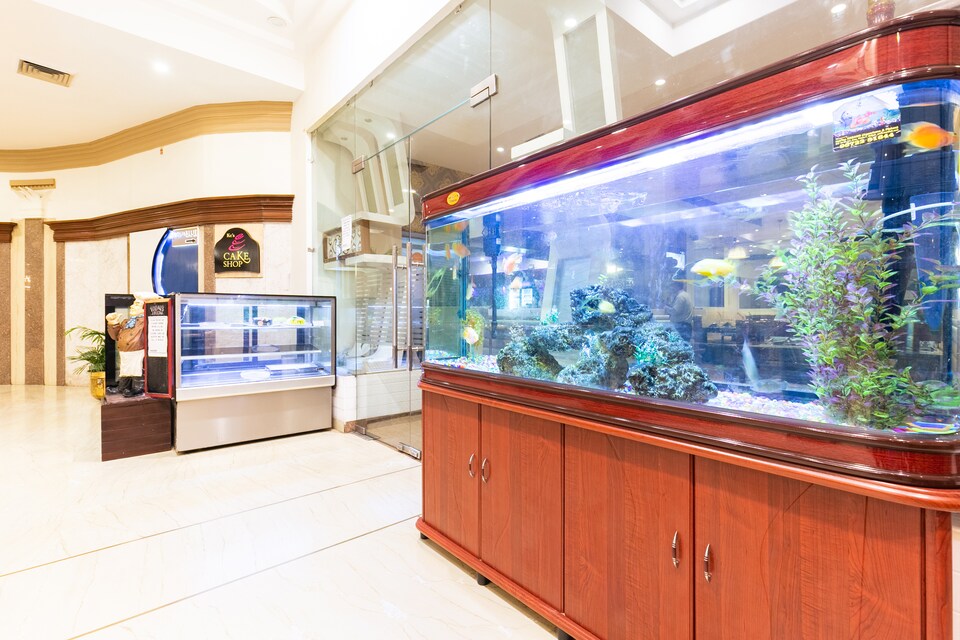 Palette - Hotel KC Cross Road, Panchkula, Panchkula