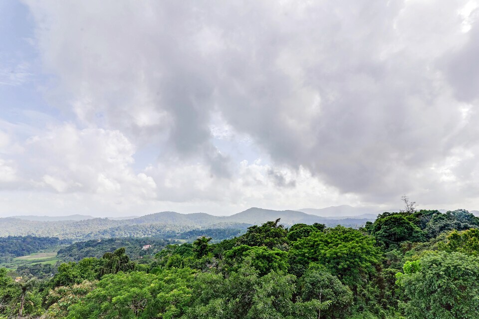 OYO Home 41661 Nature View Stay Coorg, Madikeri, Coorg