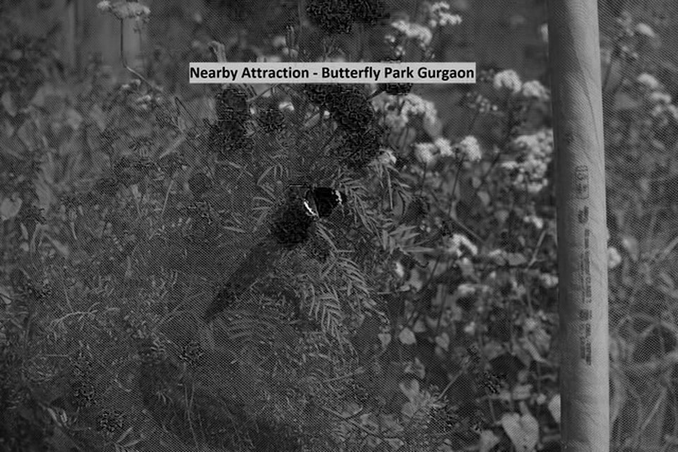 OYO Townhouse 179 Daffodils Sector 52, HUDA CENTRE 1, Gurgaon