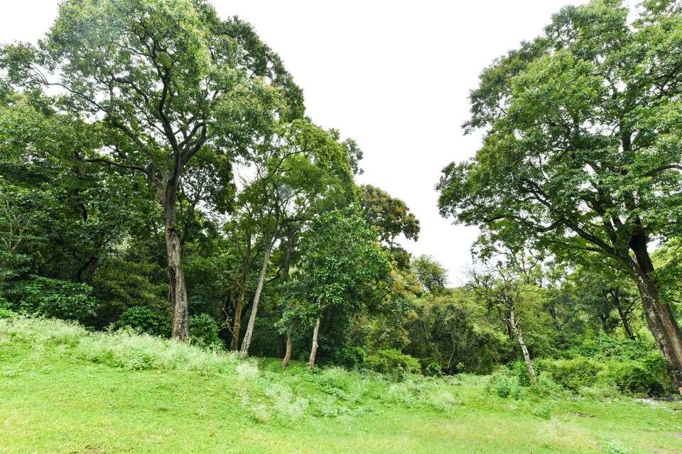 OYO 44542 Woods View Inn, Thekkady, Thekkady