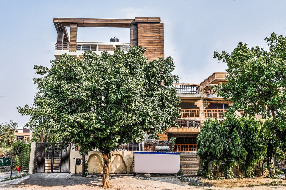 Capital O 4029 Cosy Tree Rooms, Noida Stadium, Noida