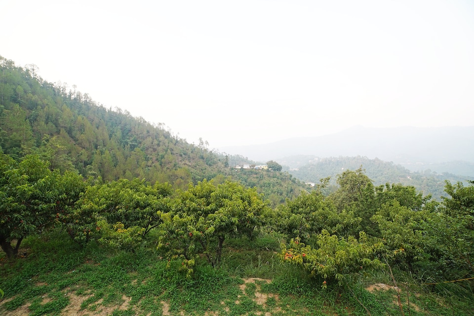 OYO 45340 Kumaon Roadies Adventure Camp, Mukteshwar, Mukteshwar