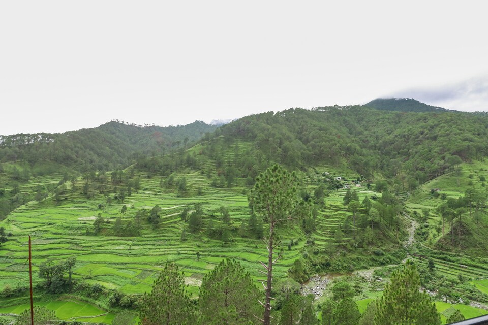 OYO 45345 Hotel Krishna Residency, Uttarkashi, Uttarkashi