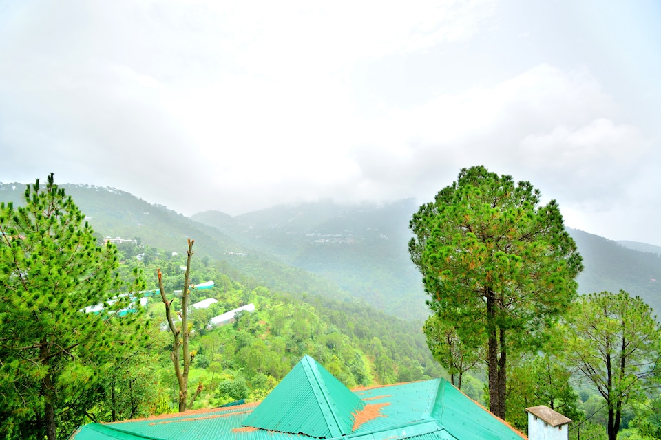 OYO 46087 Sun Pine Villa, Kasauli, Kasauli