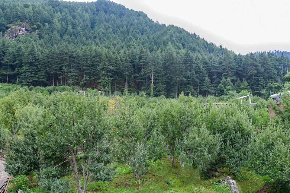 OYO 46664 Chandra Homestay, Naggar Road, Manali