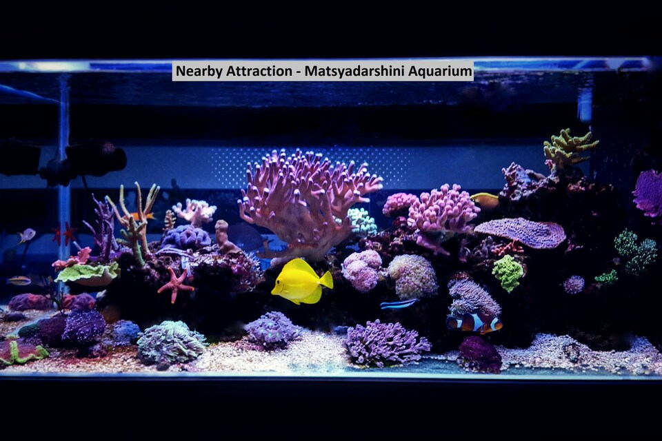 OYO 4667 Beach View Holiday, Beach Side Visakhapatnam, Visakhapatnam