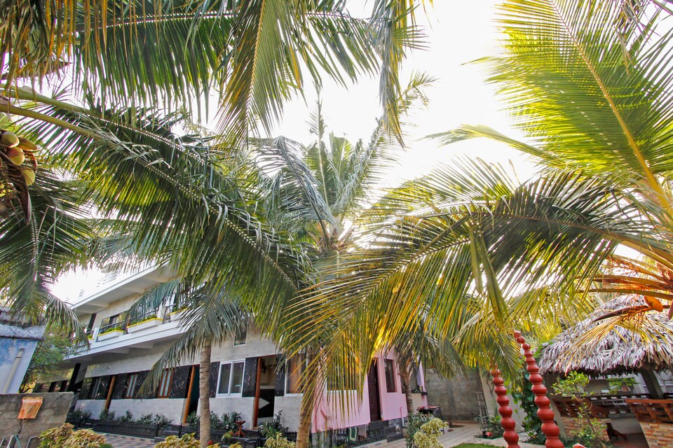 OYO 49166 Farm Dean, Kanyakumari, Kanyakumari