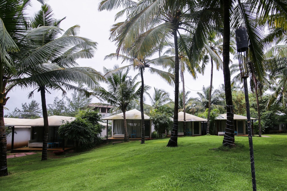 Palette - Marbela Beach Resort , Morjim Goa, Goa