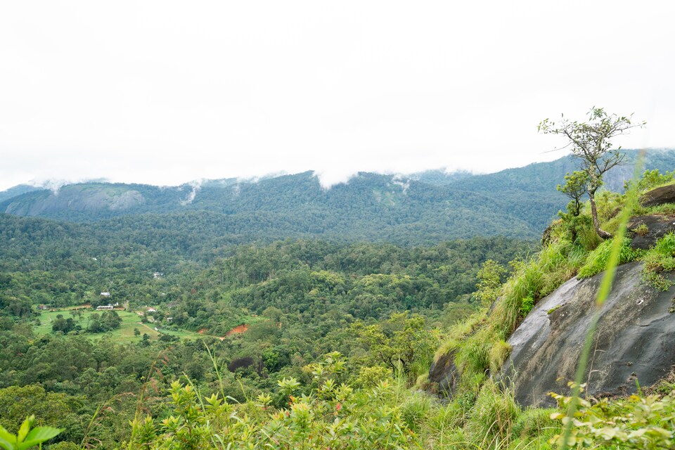 OYO Home 61811 Surya Village Home, Adimali Munnar, Munnar