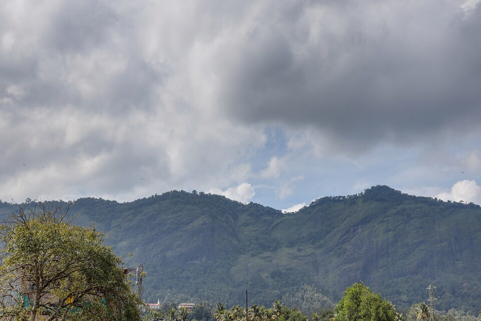 OYO Home 63203 Butterfly Homestays, Adimali Munnar, Munnar