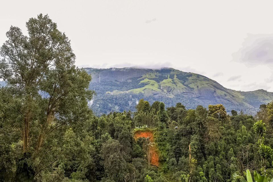 OYO Home 63550 Heavenly Days , Adimali Munnar, Munnar