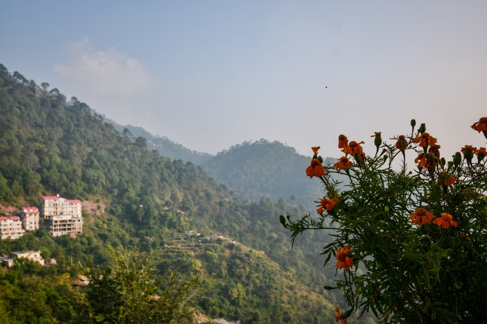 OYO Home 64166  Pleasant Family Suite Kasauli, Kasauli, Kasauli