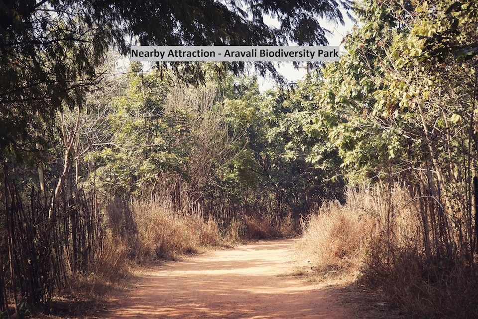 OYO Flagship 532 Sikanderpur Metro Station, Golf Course Road, Gurgaon