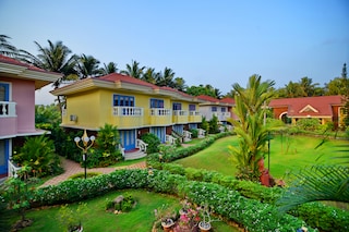 For Group Travellers Palolem Beach Goa Pay At Hotel Starts 696 Oyo 5442 Coconut Grove