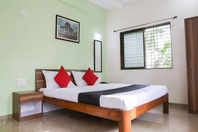 Capital O Betel Palm