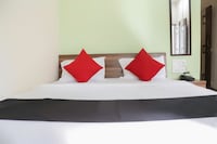 Capital O Betel Palm